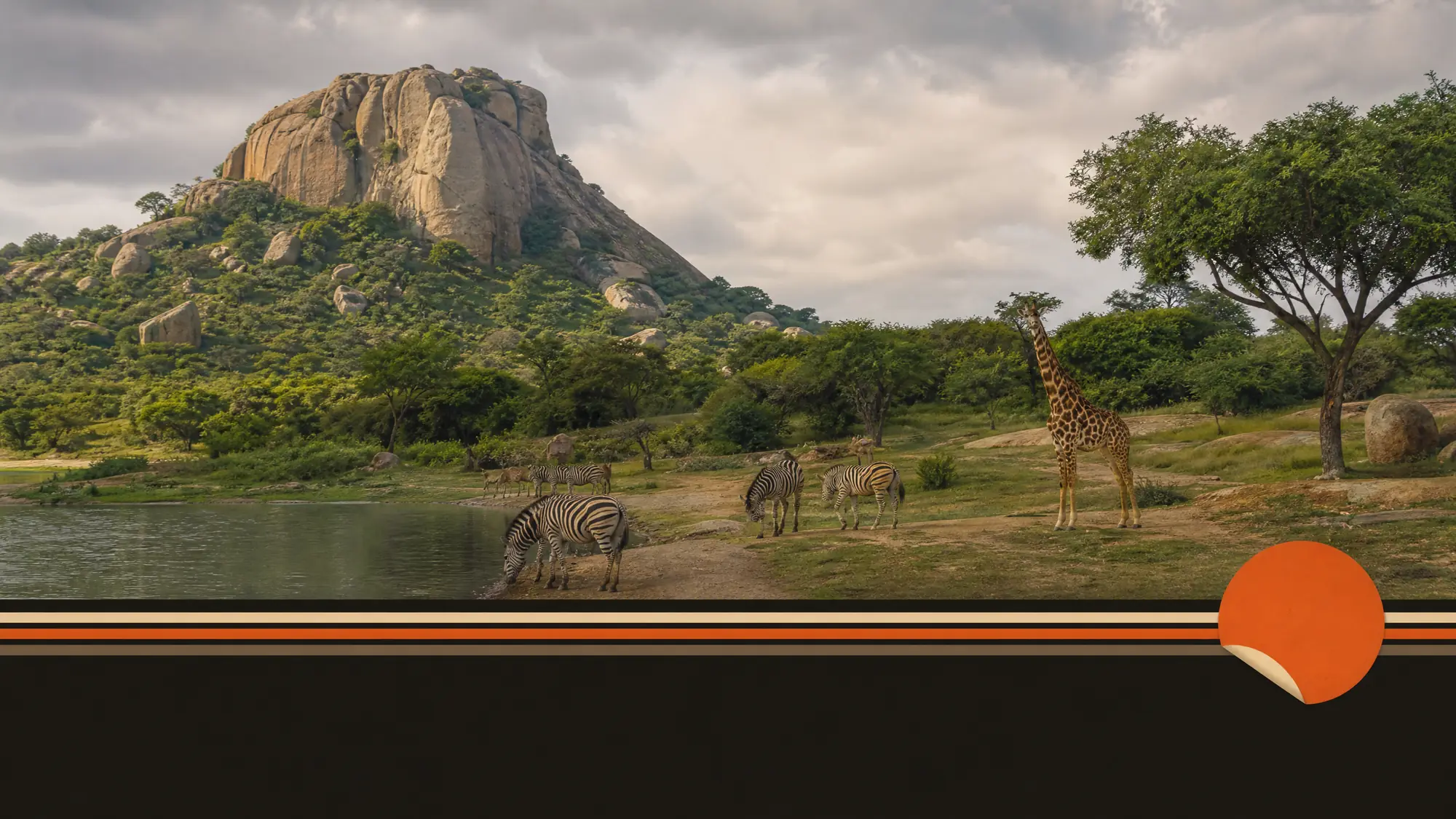 Explore 731 hectares of protected wildlife zones located 22 km south of Bengaluru. Spot free-roaming tigers, lions, and leopards on a guided safari.
